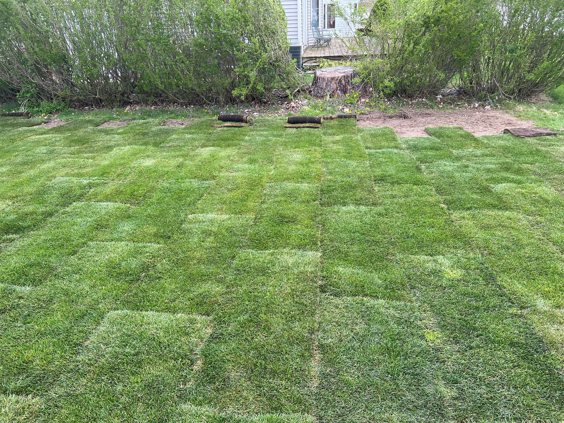 Gallery photos for Sod Installation by the Lakeside: Image #5