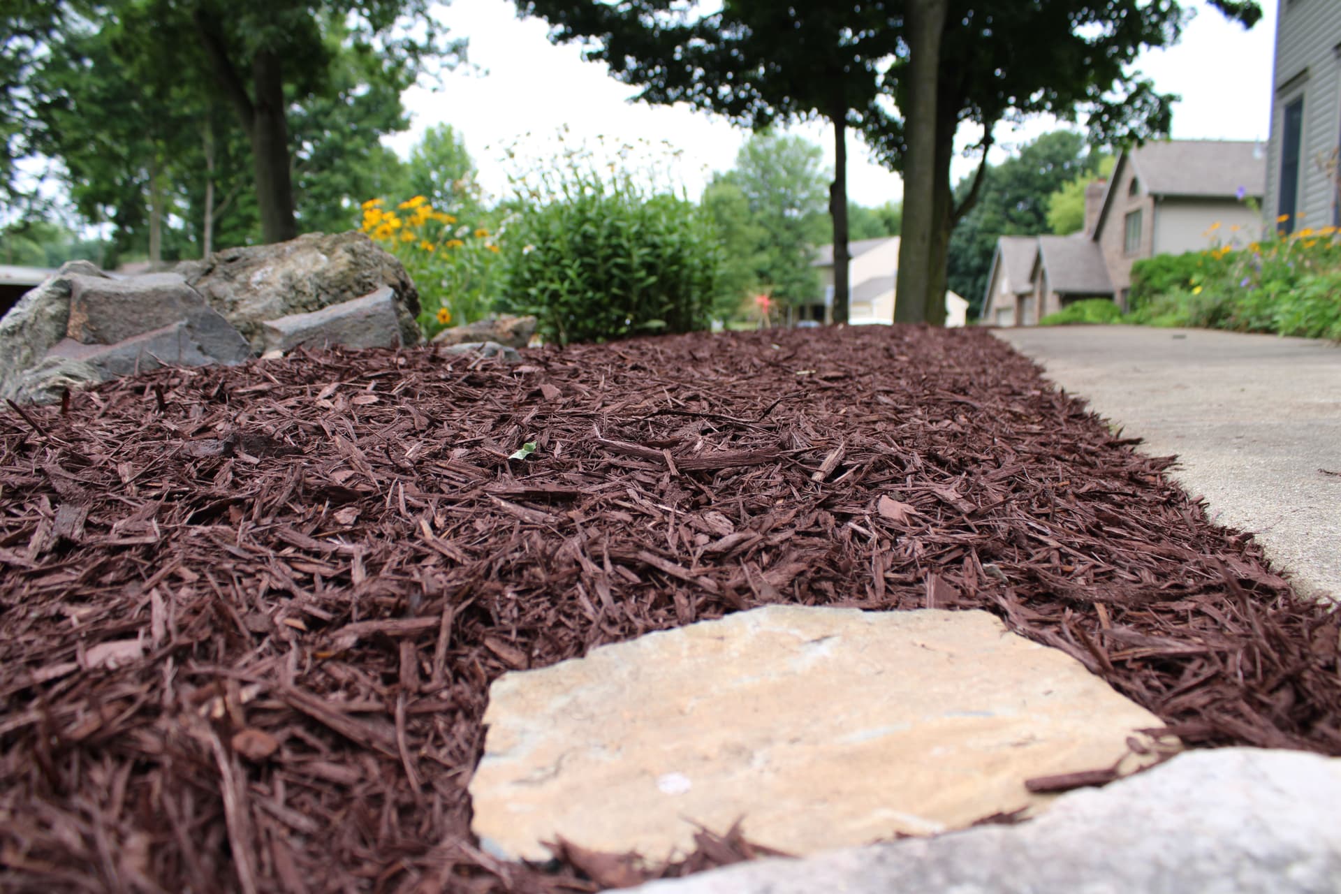 Gallery photos for Landscape Refresh in Dimondale MI: Image #1