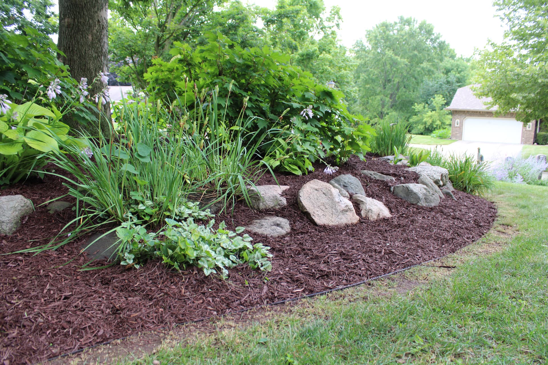 Gallery photos for Landscape Refresh in Dimondale MI: Image #8