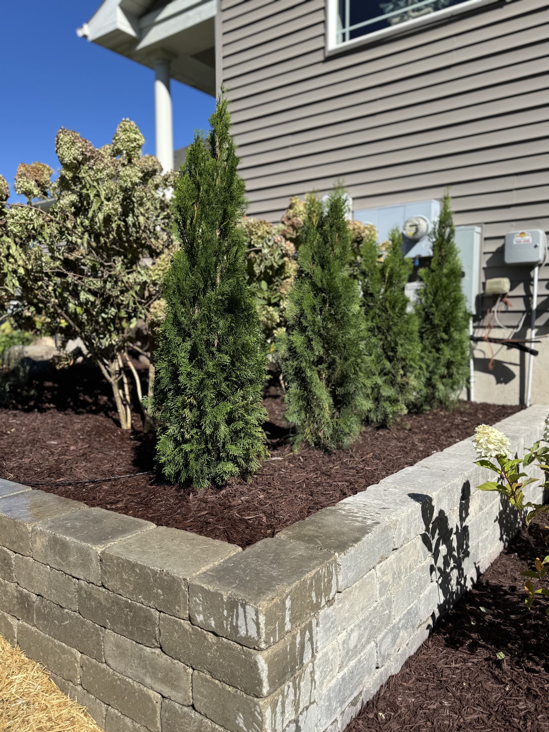 Gallery photos for Raised Garden Beds in Bath, MI: Image #3