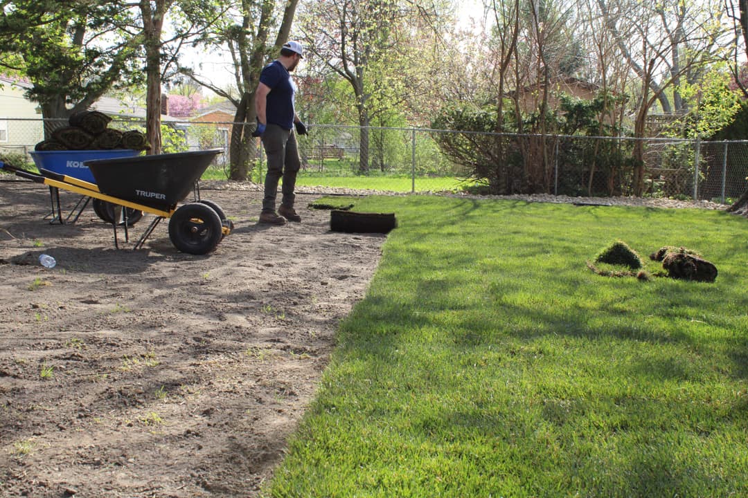 Person landscape gardening with wheelbarrow, laying sod in green yard on sunny day.