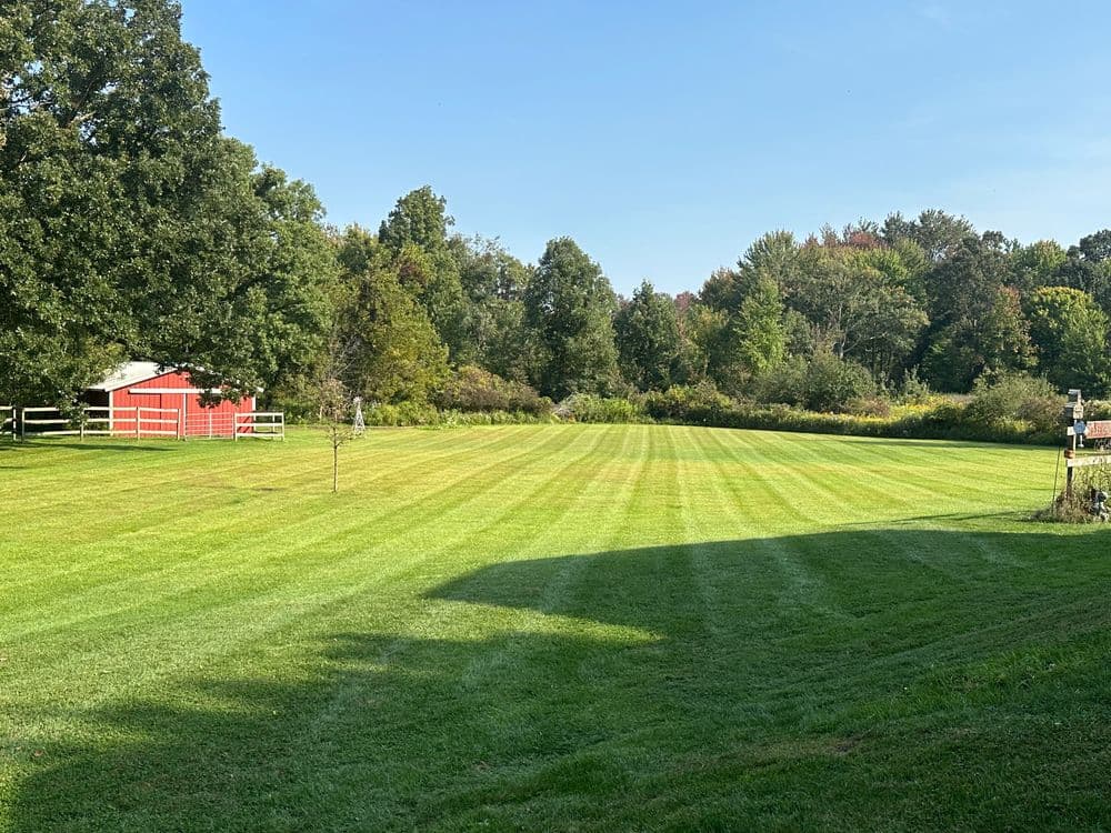 Lush green lawn with striped patterns, trees in the background, and a red barn.