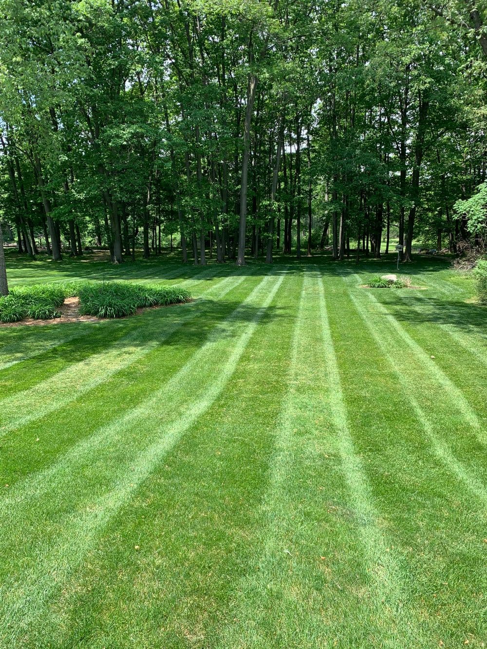 Lush green lawn with neatly striped grass patterns surrounded by tall trees.