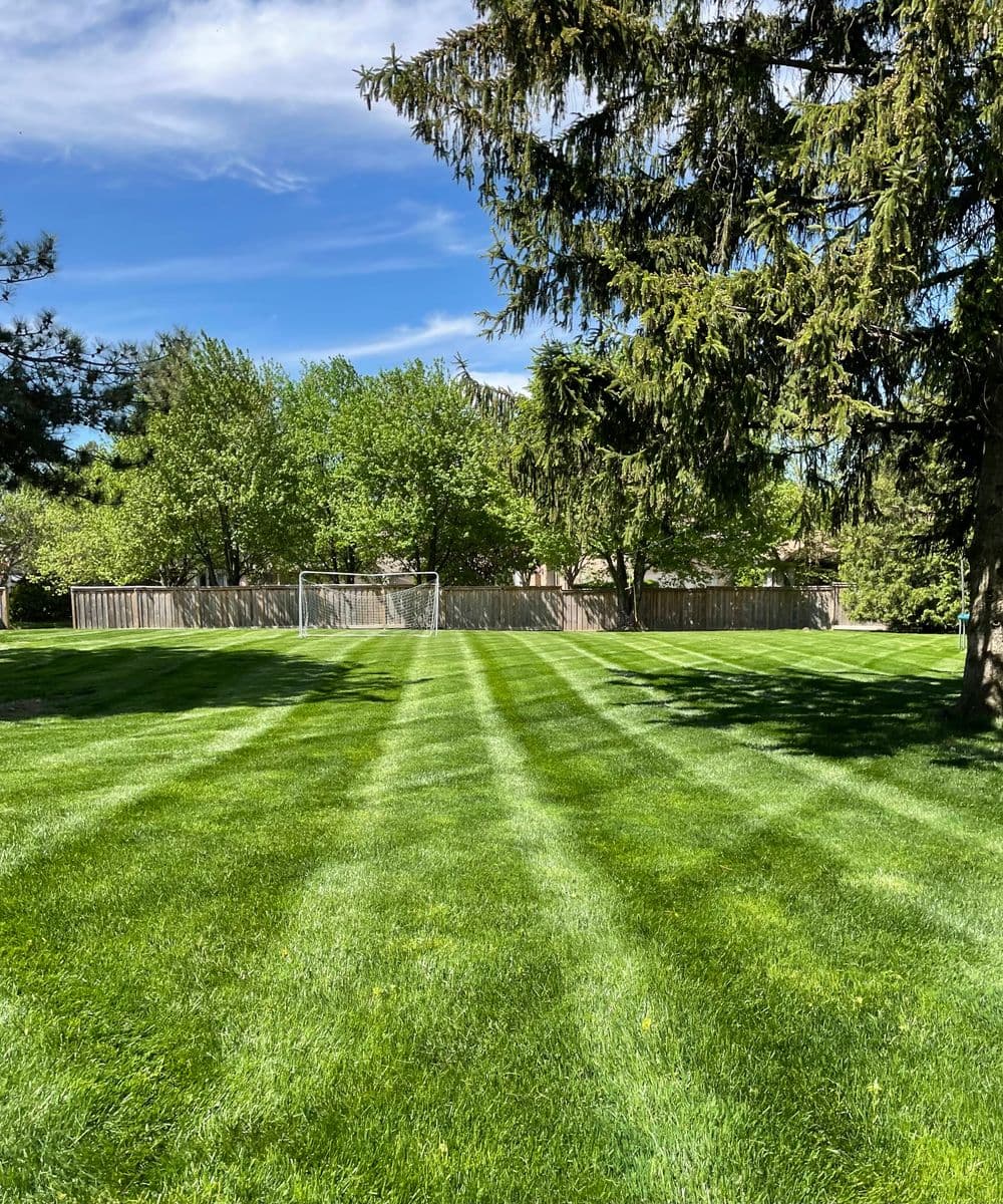 Lush green lawn with striped grass patterns and a soccer goal under a blue sky.