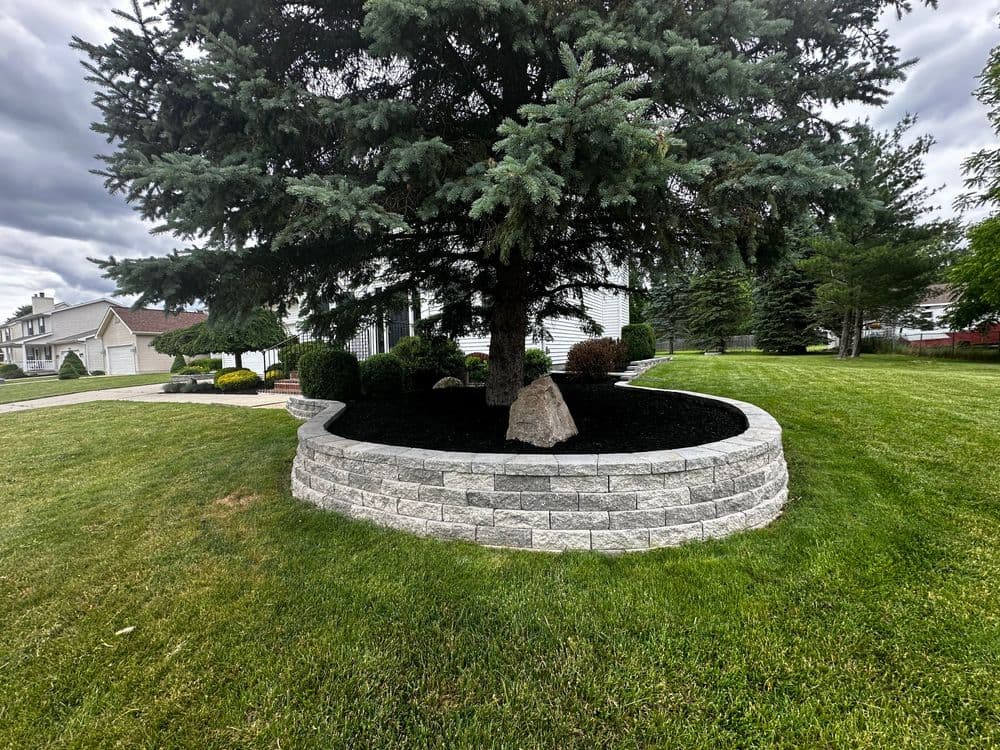 Landscape design featuring a stone-edged flower bed around a large evergreen tree.