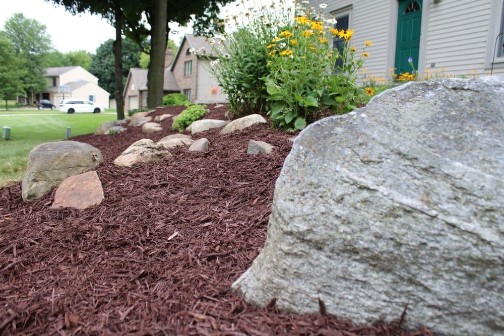 Lush flower garden with rocks and mulch in a residential landscape setting.