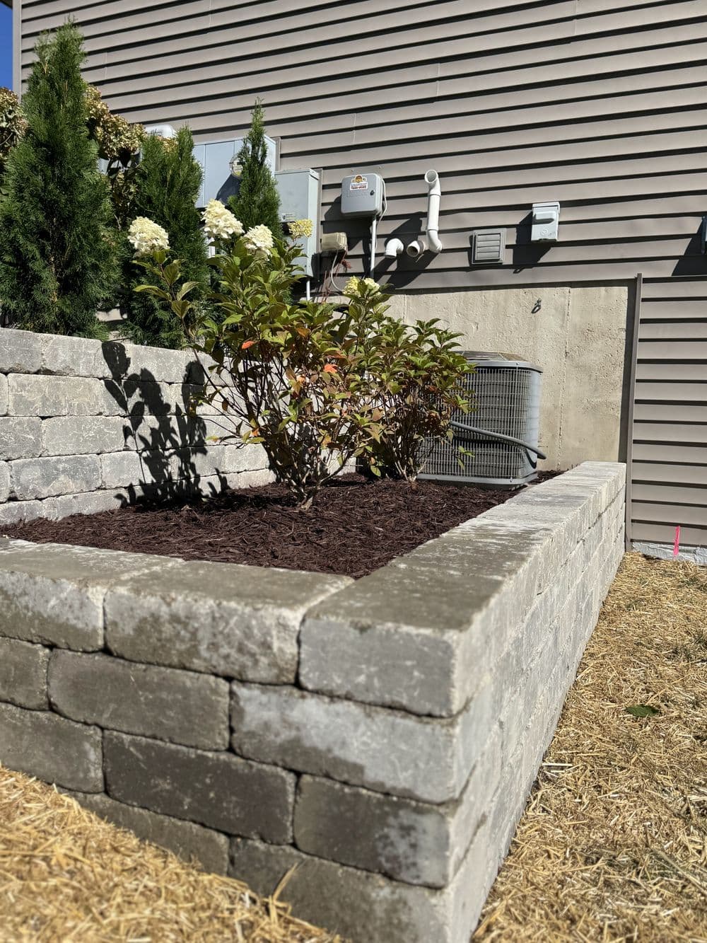Raised garden bed with a bush, surrounded by stone walls, in a residential backyard.