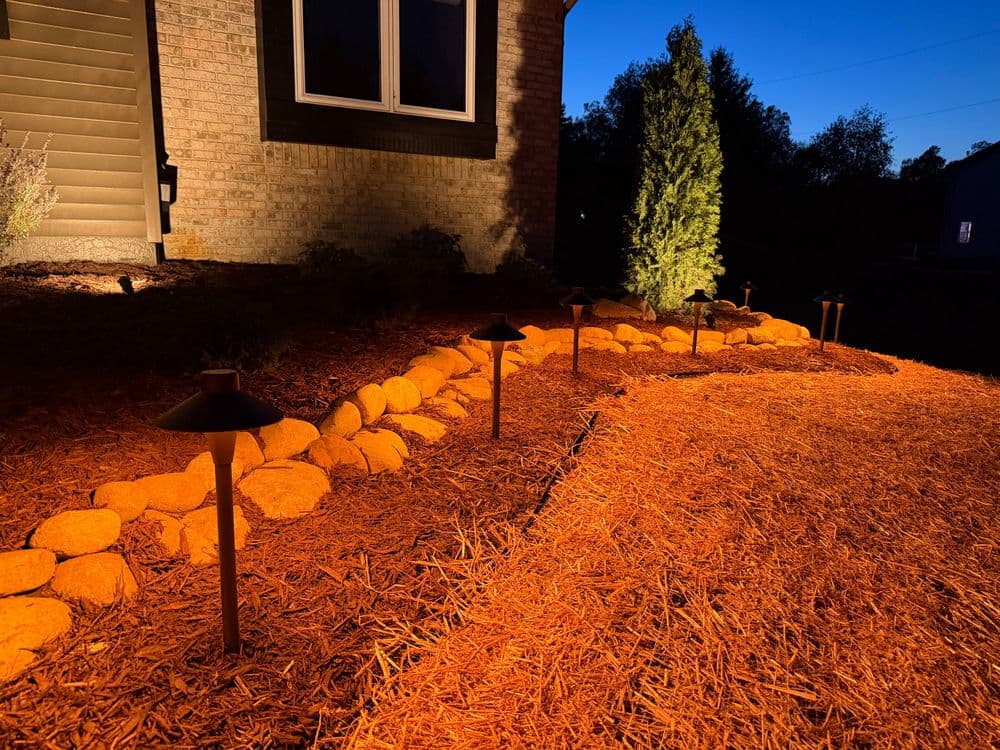 Pathway lighting enhances landscaping with illuminated garden lights and stone borders at night.
