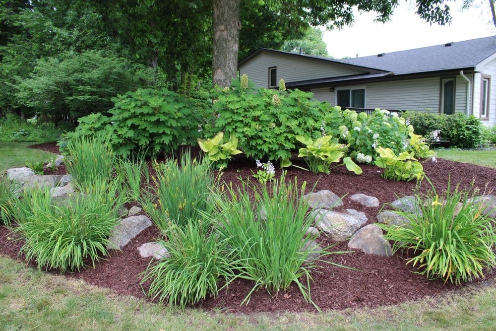 Lush garden bed with vibrant plants, rocks, and mulch near a house on a sunny day.