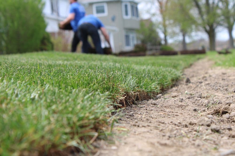 Person laying sod on a green lawn with a house in the background, emphasizing landscaping work.