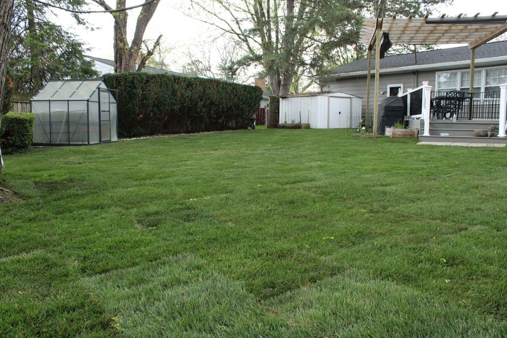 Lush green lawn with greenhouse, patio, and backyard landscaping. Ideal for outdoor living.