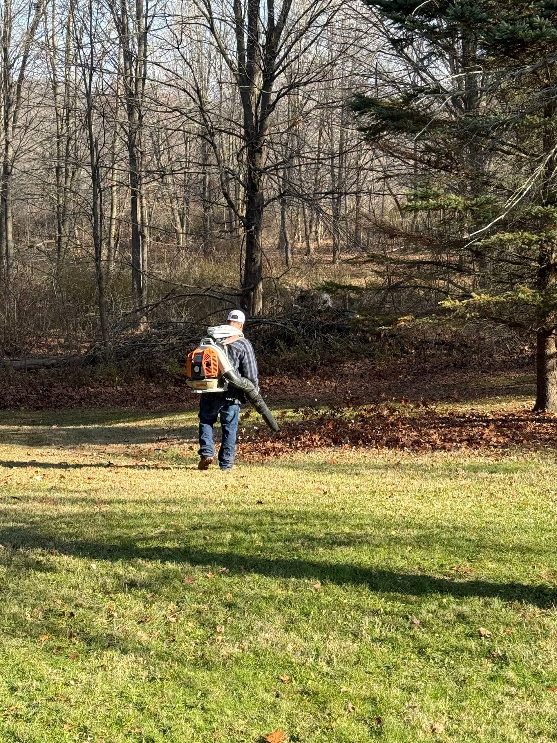 Gallery photos for Expert Fall Cleanups by Elite Landscapes: Image #1