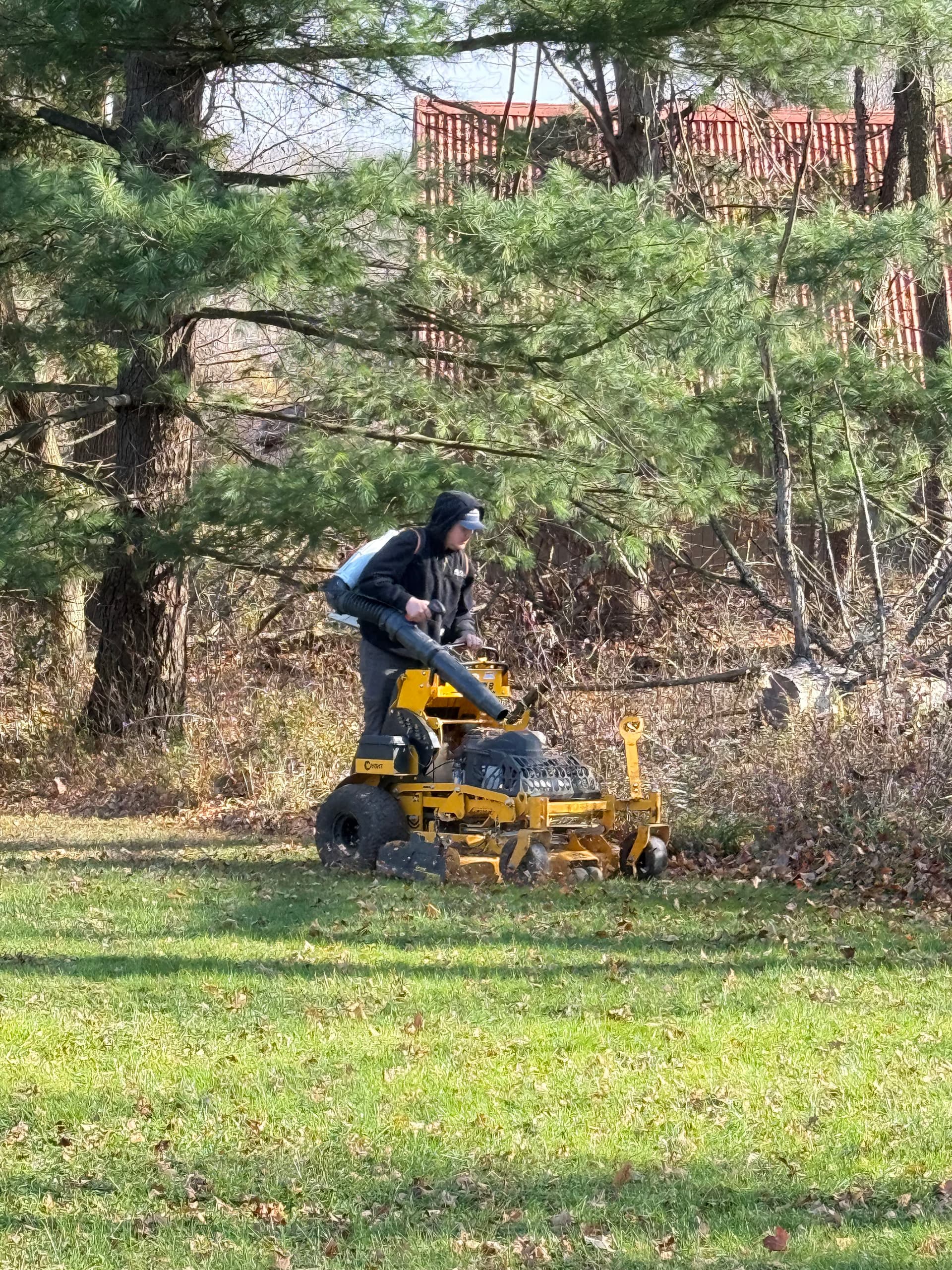Expert Fall Cleanups by Elite Landscapes image